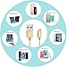BULESK iPod - Gold Cable 6' Nylon Braided Lightning to USB Charger Cord for iPhone 7 Plus/6S/6/Se/5S/5C/5, iPad 2/3/4/Mini Air Pro/iPod - Gold - 3 Piece
