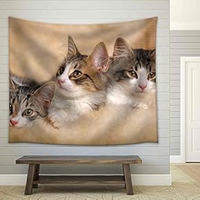 Three Kittens Lying Beside - Fabric Wall Tapestry Home Decor - 51x60 inches