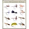 Top-Selling-Flies-Guides-TOP-Assortment-NORTHEAST-31-flies