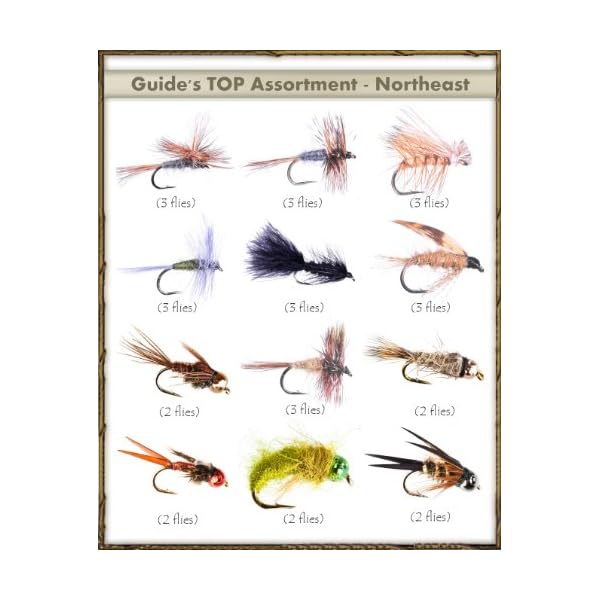 Top Selling Flies Guide's TOP Assortment NORTHEAST (31 flies) MasterBasser