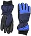 Nolan Gloves Big Boys' Polar Peak Color-Block Ski Glove