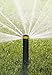 Rain Bird 22SAH Mini Rotary Pop-Up Spray, 180° Half Circle Pattern, 18' - 24' Spray Distance, 4