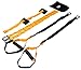 The Gear Outfitter Bodyweight Resistance Training Straps | Exercise Bands For Stretching, Strengthening, Physical Therapy, Fitness & Rehab | Includes Carrying Bag & Extension Straps