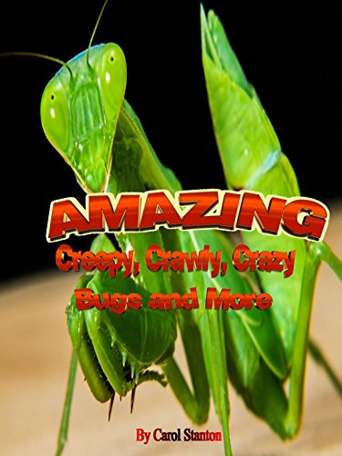 Amazoncom Amazing Creepy Crawly Crazy Bugs And More - 