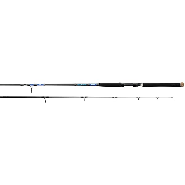 beef stick fishing pole