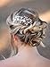 SWEETV Wedding Hair Comb,Pearl Bridal Hair Clip Silver-Rhinestone Wedding Hair Accessories for Brides Bridesmaid Women (1.Silver)