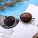 JIM HALO Small Polarized Round Sunglasses for Men, Women Vintage Double Bridge Frame (Gold Frame/Polarized Brown Lens)