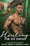 Healing For His Omega: M/M Alpha/Omega MPREG