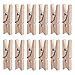 eBoot 100 Pieces 1 Inch Mini Wooden Photo Paper Peg Pin Clothespin Craft Clips