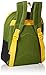 Disney Toddler Boys Lion Guard Backpack, Black, One Size