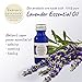 Victoria's Lavender Neck Wrap Gift Set with Bath Salts, Hand & Body Lotion - Skin Care Set & Spa Kits, Bath and Body Products for Women, Beauty Products For Women Made in the USA - Lavender (Set of 3)