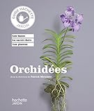 Orchidée by