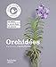 Orchidée by