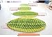 Luxbon Green Leaf Shaped Oval Bathmat Living Room Carpet Bedroom Rug Washable Rugs Home Decorator Floor Rug and Carpets(27.5