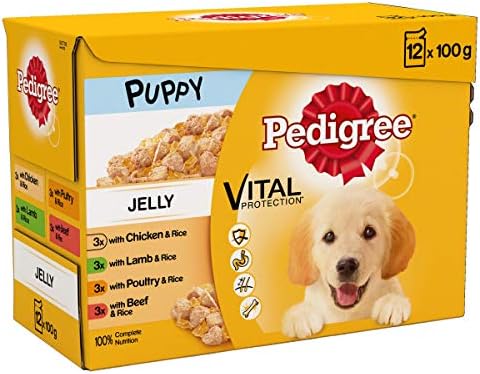 pedigree puppy jelly