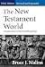 The New Testament World: Insights from Cultural Anthropology 3rd edition by Bruce J. Malina