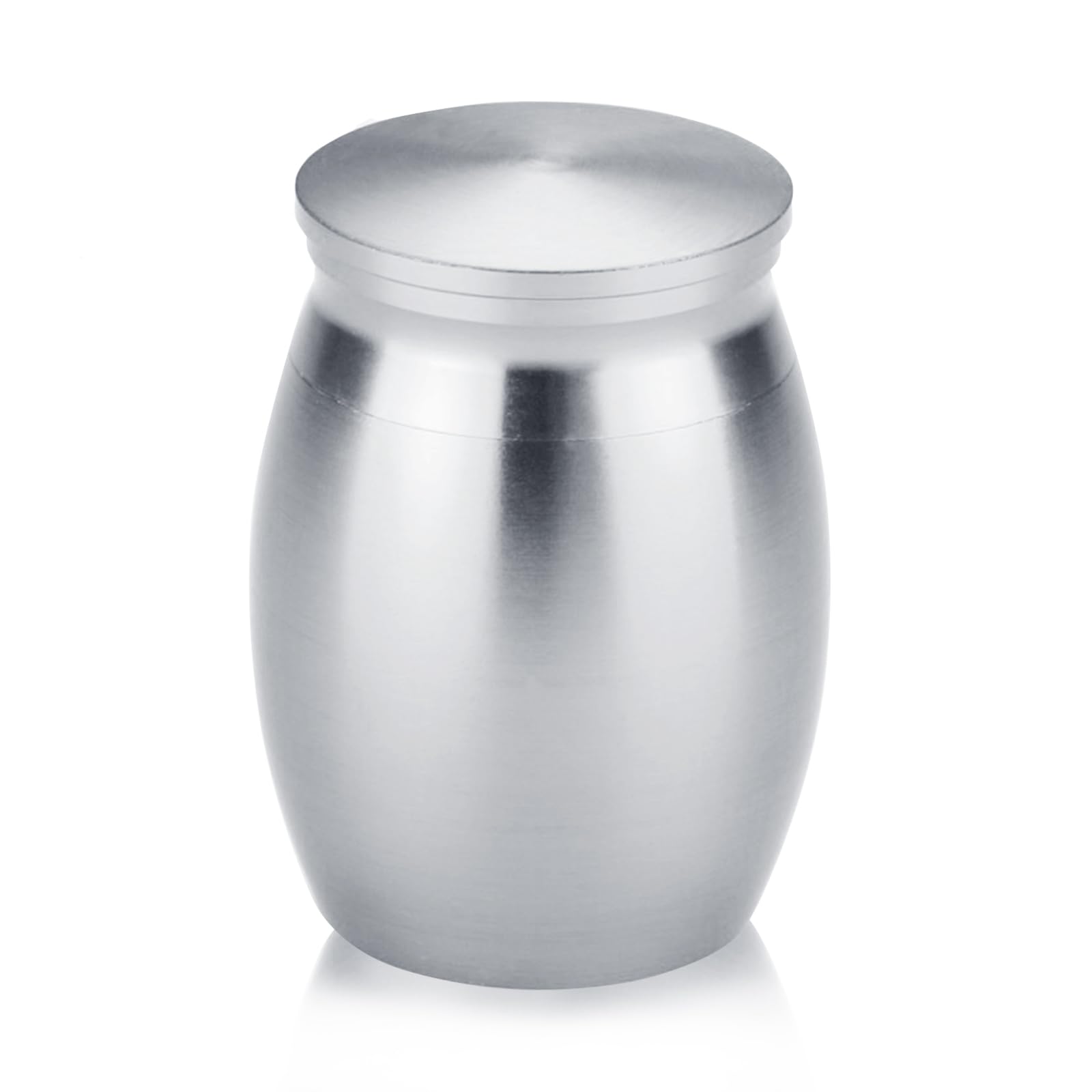 Mini Cremation Urn, Small Keepsake Urns Memorial Ashes Holder Small Urns for Ashes Stainless Steel Metal Funeral Urn Stainless Steel Memorial Keepsake for Pet
