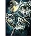 DIY 5D Diamond Painting Kits for Adults Full Drill Embroidery Paintings Rhinestone Pasted DIY Painting Cross Stitch Arts Crafts for Home Wall Decor 30x40cm/11.8×15.7Inches (Wolves)