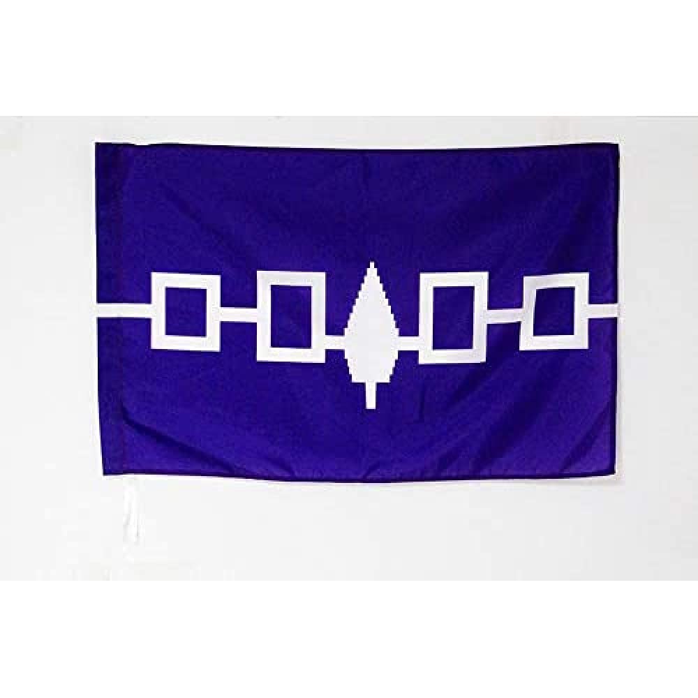 AZ FLAG - Iroquois People Flag - 2x3 Ft - Haudenosaunee Banner with Sleeve - 100% Polyester - Fade Resistant - Vivid Colors - 2' x 3' Feet - 90x60 Cm