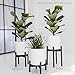 Sona Home Indoor Plant Stand - Mid Century Modern with 3 Sizes - 3 Colors, Stands for Planters, Wood Plant Stand, Pot Stand Fits Up to 12 Inches, Plant Holders Indoor Stand Only (Med, Black)