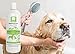 Nootie Dog Shampoo with Soothing Aloe Best for All Pets Including Dogs, Cats, and Horses - 100% All Natural Deodorizing Soap Free Formula - Clear, 16 Fl Oz (Pack of 1), SAO16