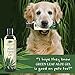 Green Leaf Naturals Organic Aloe Vera Gel, Pure Thin-Gel Formula for Skin, Face and Hair, 16 ounce 2-Pack (two 8 oz bottles)