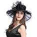Women’s Organza Church Kentucky Derby Fascinator Tea Party Wedding Hat
