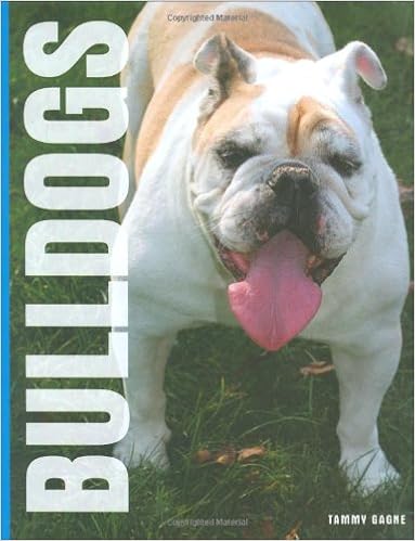 Bulldogs �n�[�h�J�o�[  - 2008/7/1