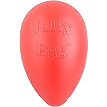 plastic egg dog toy