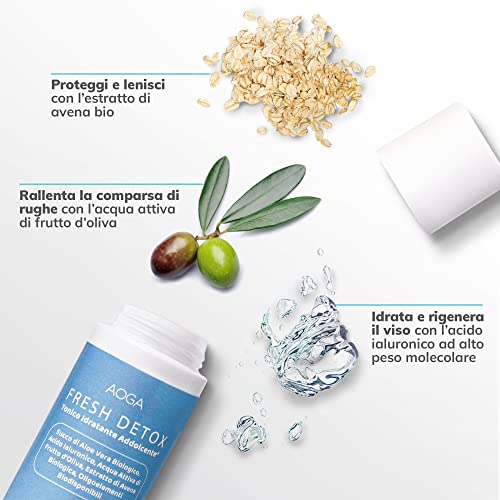 Skincare Korean Total Care Kit – For Combination, Oily or Acneica Skin: Balances with Cleansing Mousse, Tonic, Vitamin C Serum and Purifying Cream – Organic Beauty at Your Service