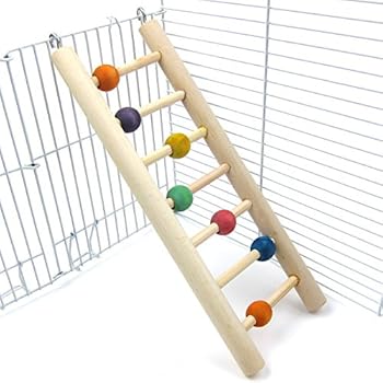 Alfie Pet - Quinlan Hanging Wooden Ladder Toy for Birds - Size: Medium