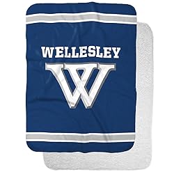 Wellesley Blues Primary Logo Stripes Sherpa