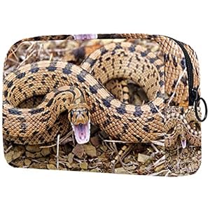 51JfuYQDw%2BL. SS300