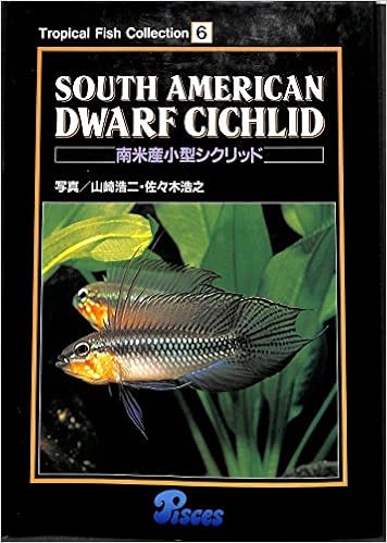 american tropical fish