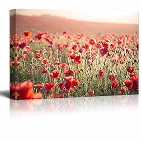 Canvas Prints Wall Art - Beautiful Landscape Image of Summer Poppy Field Under Stuning Sunset Sky with Cross Processed Retro Effect - 12" x 18"