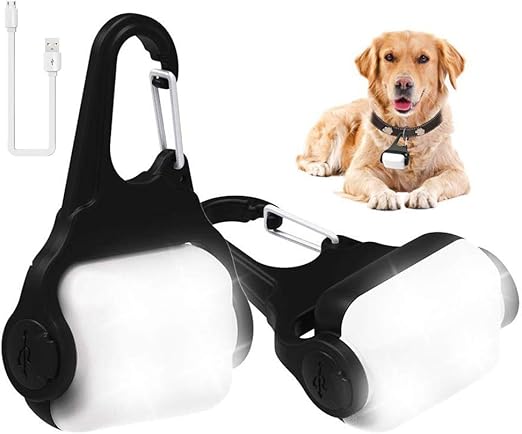 how to bathe a husky puppy