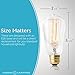 Hudson Bulb Co. Vintage Incandescent Edison Light Bulbs, 60W, E26/E27 Base, 2100K Dimmable Decorative Lights, ST58 Style Warm Glow, Antique Squirrel Filament for Outdoor and Indoor Use - 6 Pack