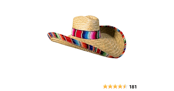 Windy City Novelties Sombrero Hat for 