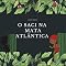Livro O Saci Na Mata Atlântica (O Saci na Toca)
