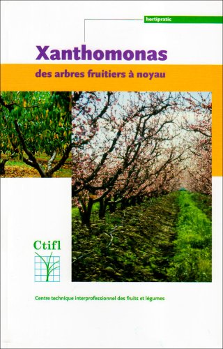 Xanthomonas des arbres fruitiers à noyau