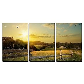 Art Rural Landscape Field and Grass x3 Panels