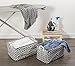 DII Laundry Storage Collection, PE Coated Collapsible Bin with Handles, Gray Lattice, Extra-Large Set, 12.5x17.5x10.5