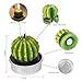 AMASKY Cactus Tealight Candles, Handmade Delicate Succulent Cactus Candles for Valentine's Day Birthday Party Wedding Spa Home Decoration (12 Packs)