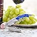 Hicoup Wine Opener - Professional Corkscrews for Wine Bottles w/Foil Cutter and Cap Remover - Manual Wine Key for Servers, Waiters, Bartenders and Home Use - Stainless Steel w/Sapphire Resin Inlay
