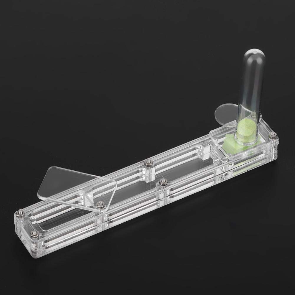 Ant Breeding Box, Acrylic Ant Breeding Nest Ant Farm House Ant Display Box with Water Tower, Moisturizing, with 1Pcs Dropper, 1Pcs Clamp, 1Pcs Glass Bottle(Transparent)