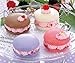 Whipple W-18 Pink Cream Macaron Set Japanese Sample/replica Food Making Kits
