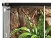 Exo Terra Monsoon RS400 Rainfall System for Terrariums and Greenhouses, Programmable Rainfall Unit, Maintains Optimal Humidity, Ideal for Large Breeds