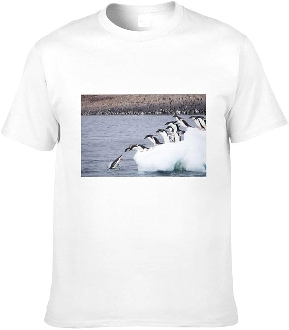 Amazon Co Jp Tシャツ メンズ 南極 ペンギン 動物 おしゃれ 半袖 コットン おもしろtシャツ 大きいサイズ 白tシャツ Bolaco 服 ファッション小物