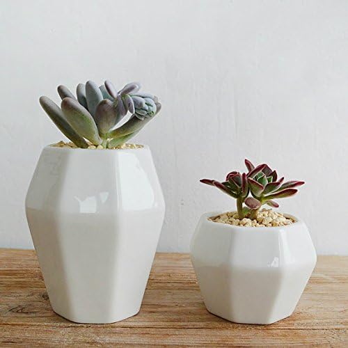 Hexagon Succulent Planter Short & Tall Set. Modern Minimalist White Ceramic Succulent Pots. Perfect for succulent, cacti, flowers, live or artificial plants for home or office (PLA0047-S1)