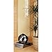 Kenroy Home 20506BS Spot 1 Light Accent Lamps, Small, Brushed Steel